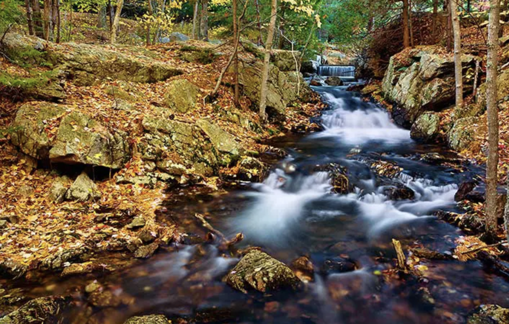 Bubble Pond Cascades